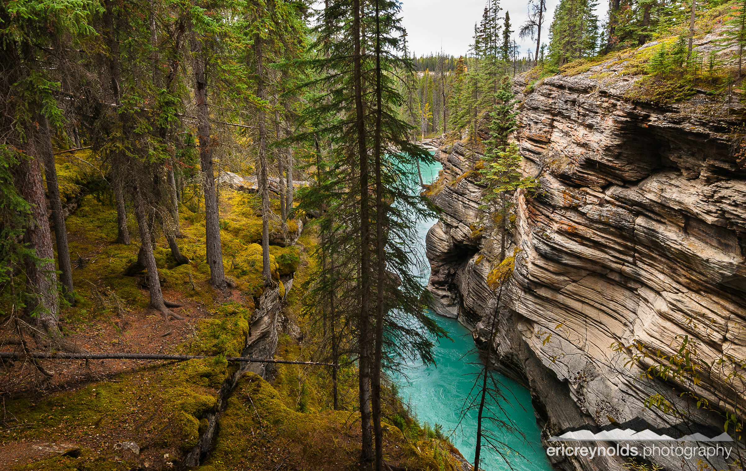 Athabasca Falls Canyon by Eric Reynolds - Landscape Photographer