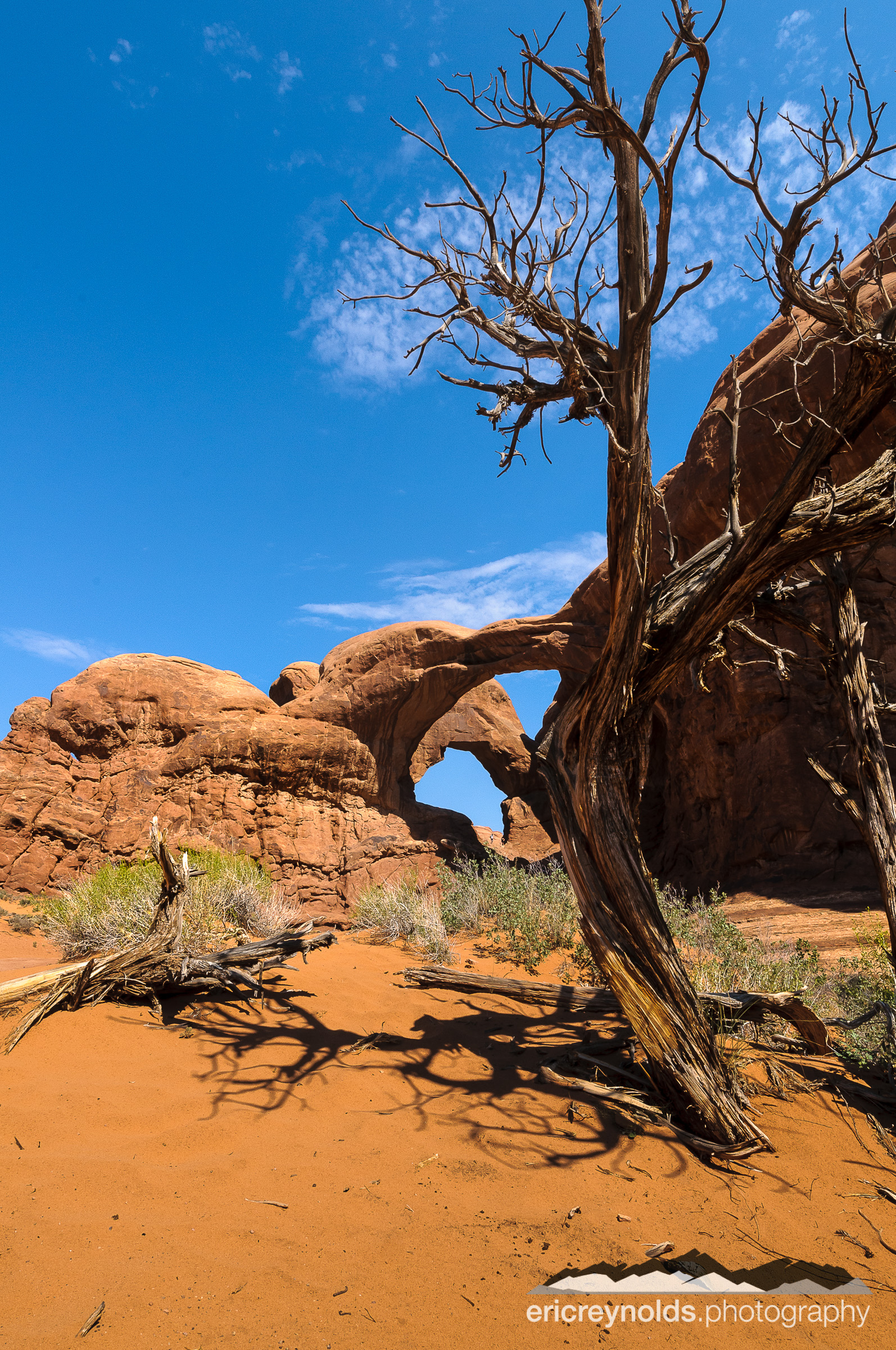 Double Arch with Dead Tree by Eric Reynolds - Landscape Photographer