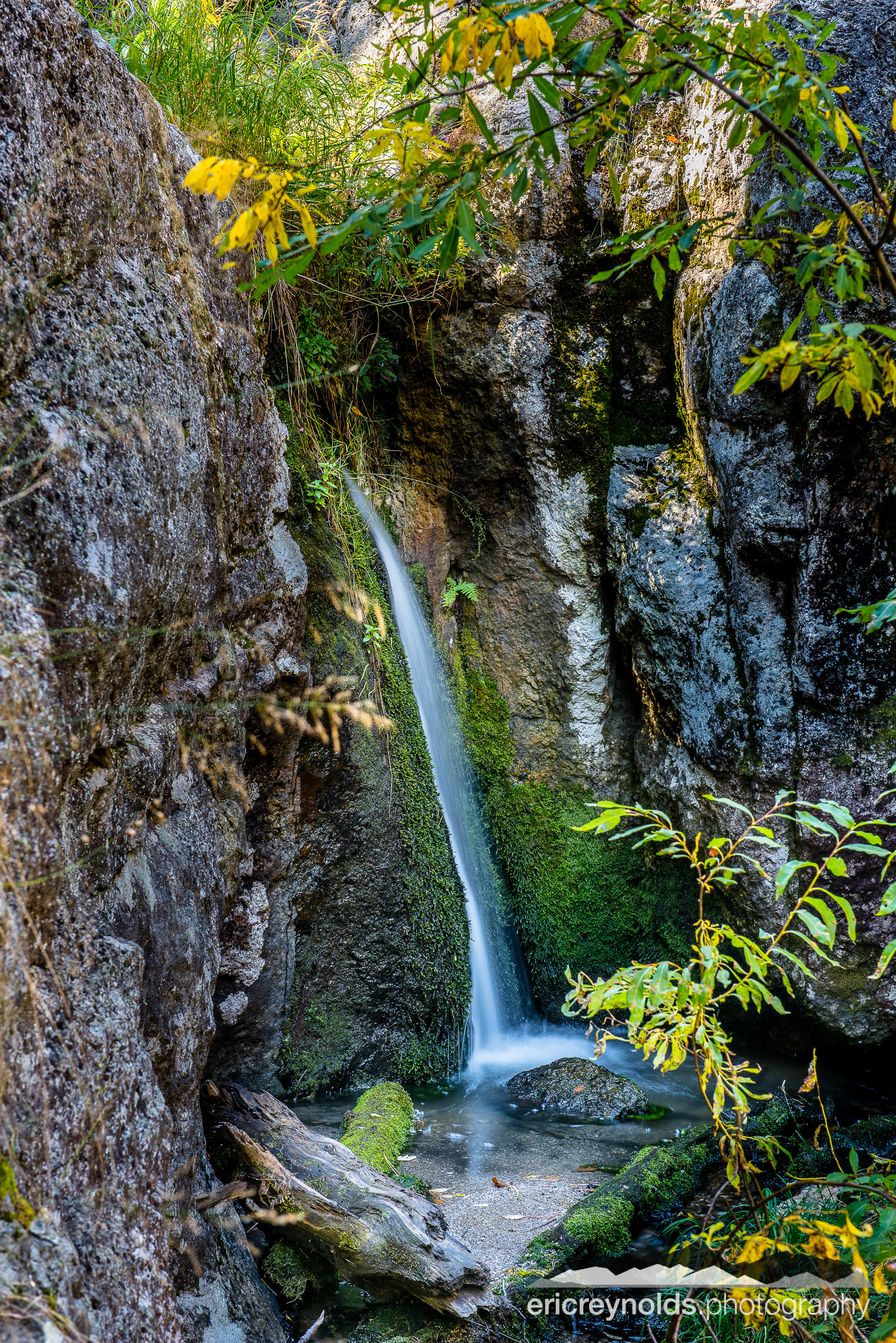 Tropics in the Black Hills by Eric Reynolds - Landscape Photographer