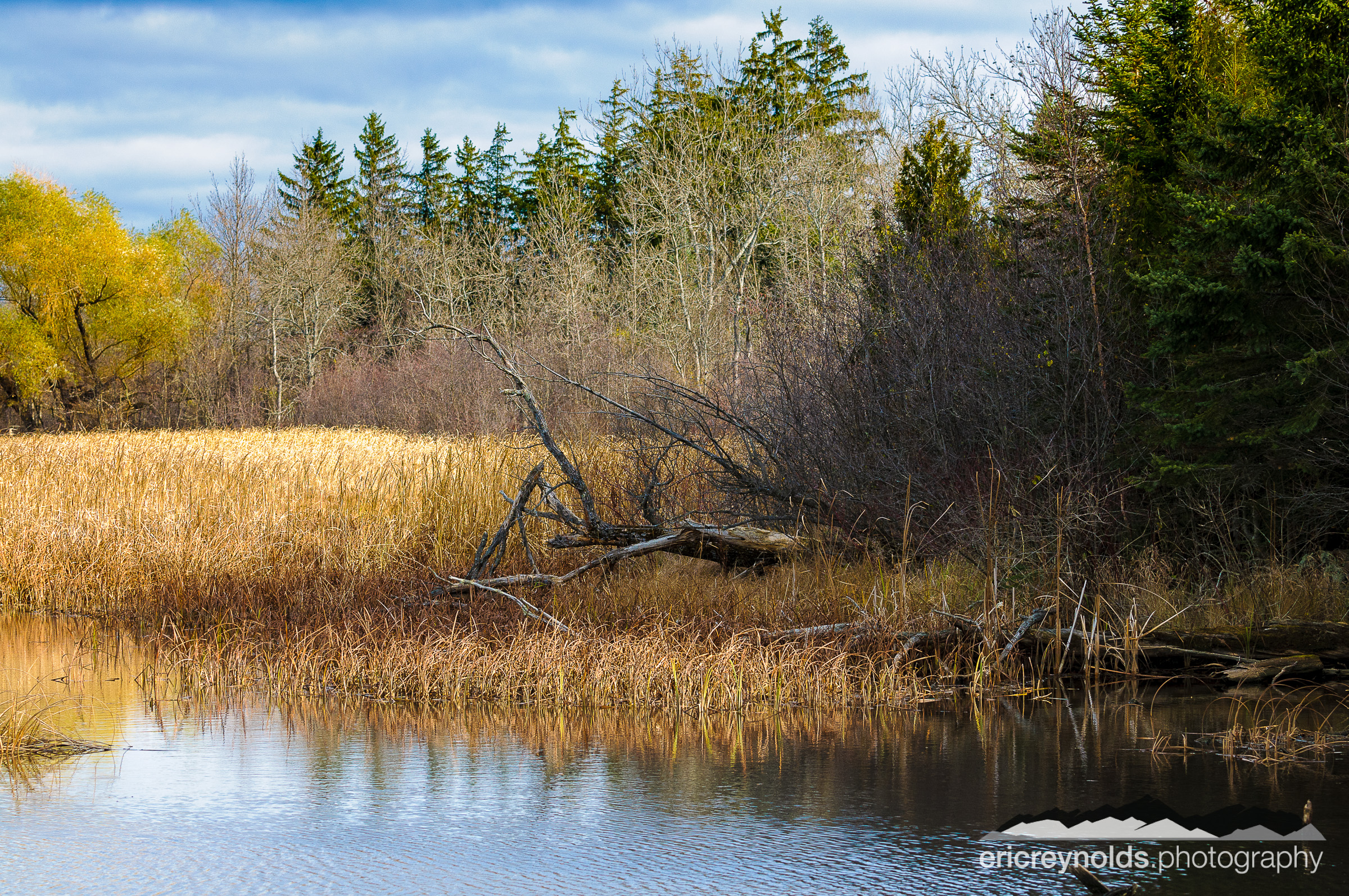 A Northwoods Pond by Eric Reynolds - Landscape Photographer