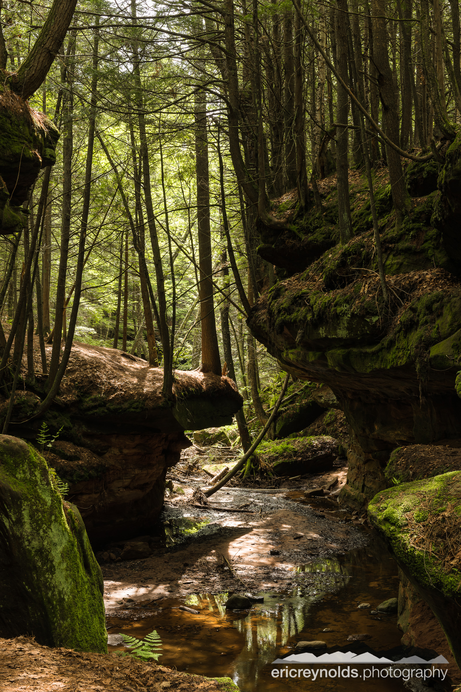 Echo Dells by Eric Reynolds - Landscape Photographer