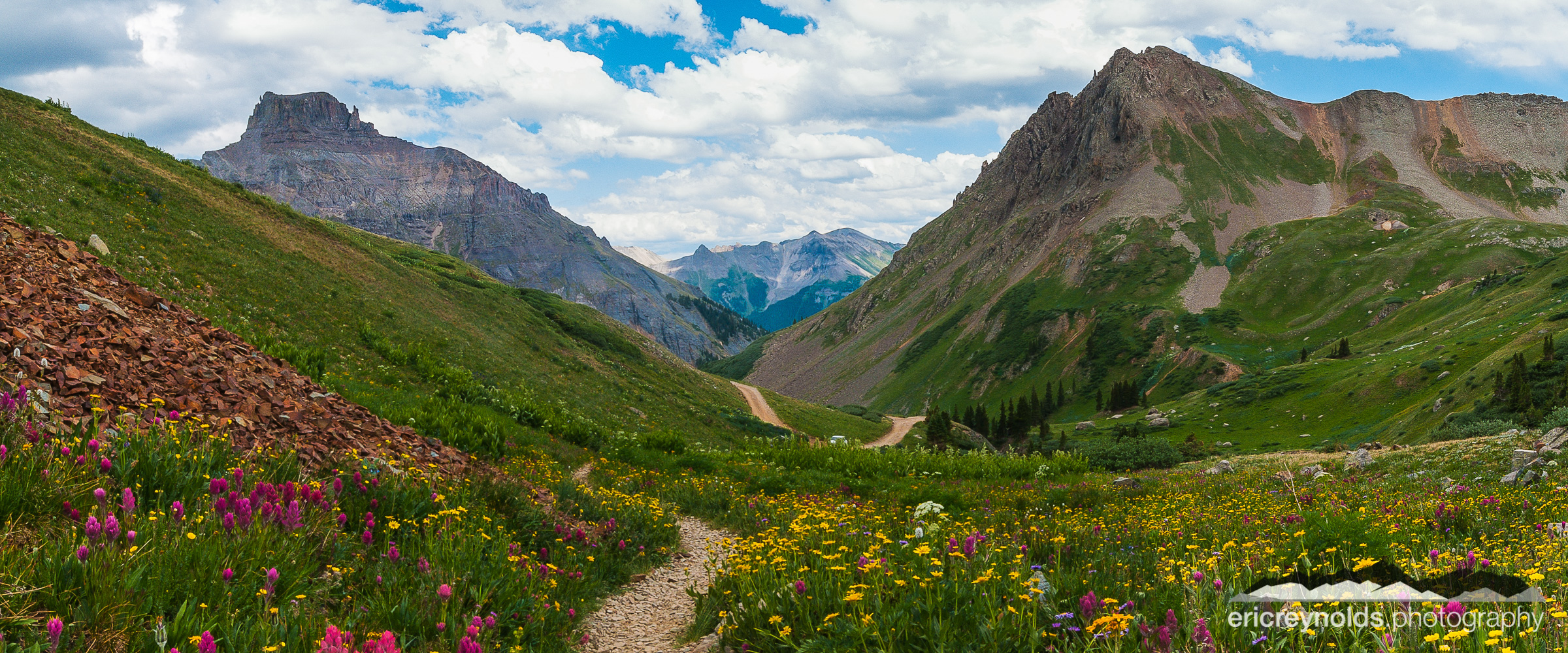 Wildflower Path 2 by Eric Reynolds - Landscape Photographer