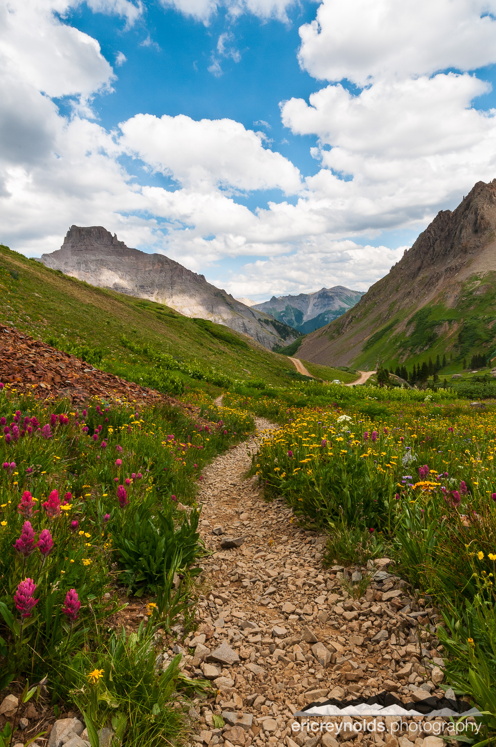 Wildflower Path by Eric Reynolds - Landscape Photographer