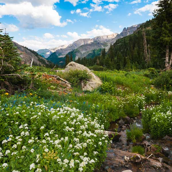  by Eric Reynolds - Landscape Photography