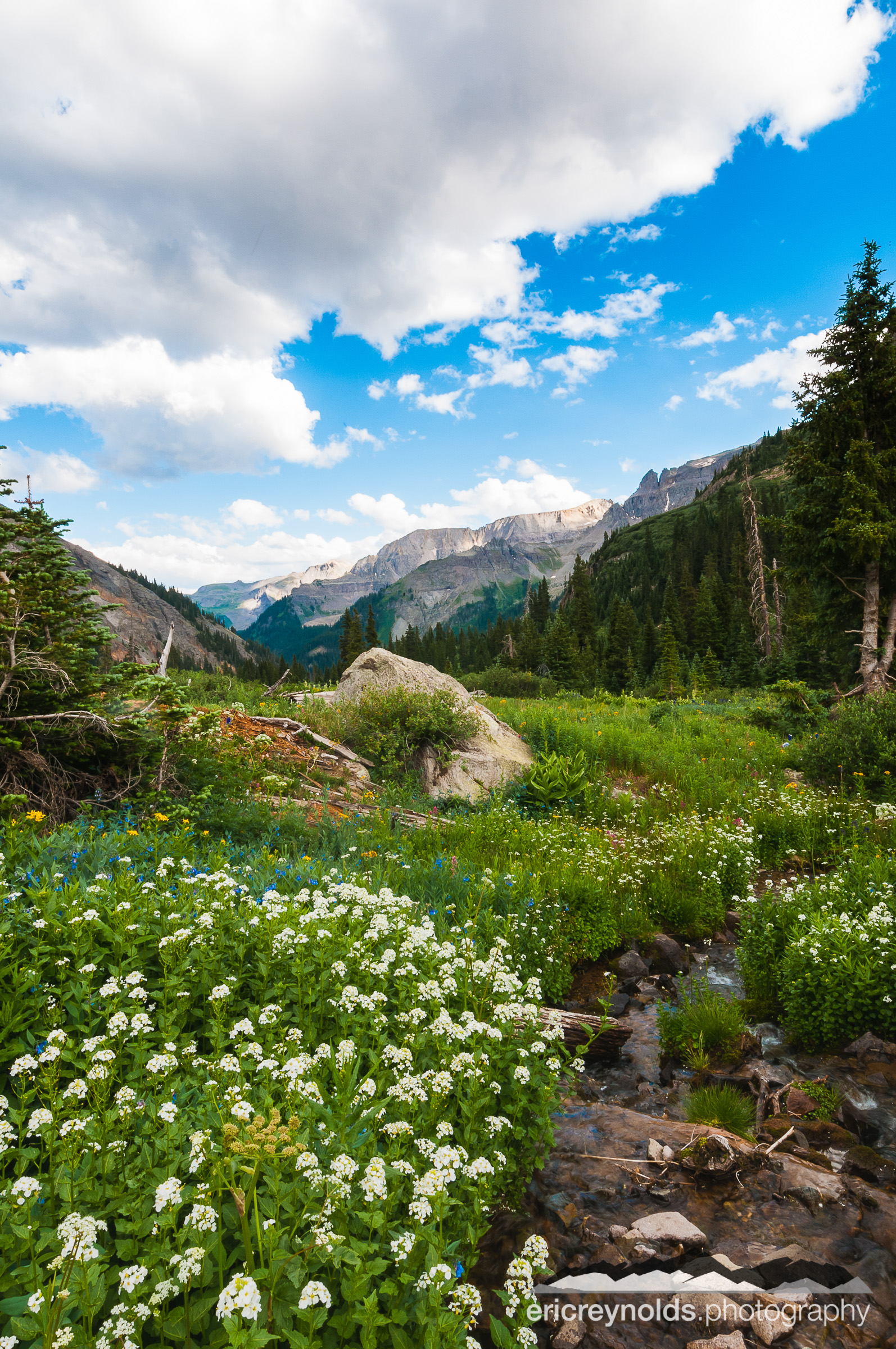 Yankee Boy Basin by Eric Reynolds - Landscape Photographer