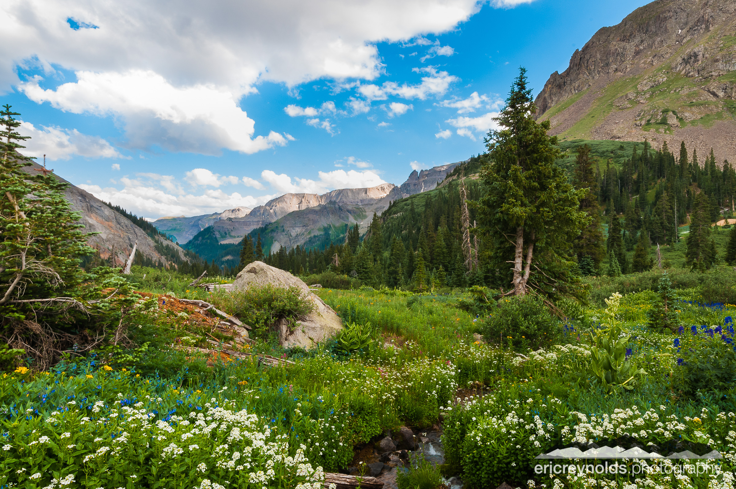 Yankee Boy Basin by Eric Reynolds - Landscape Photographer