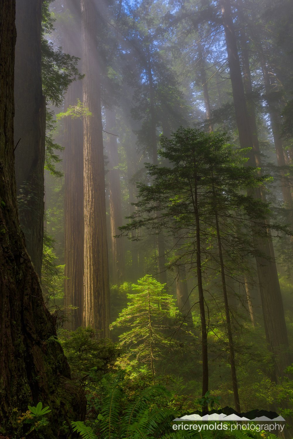 Children Among Their Elders by Eric Reynolds - Landscape Photographer