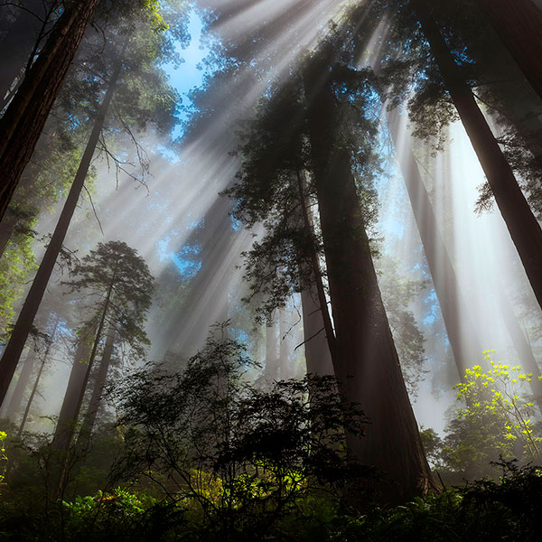 West Coast Photography by Eric Reynolds - Landscape Photographer