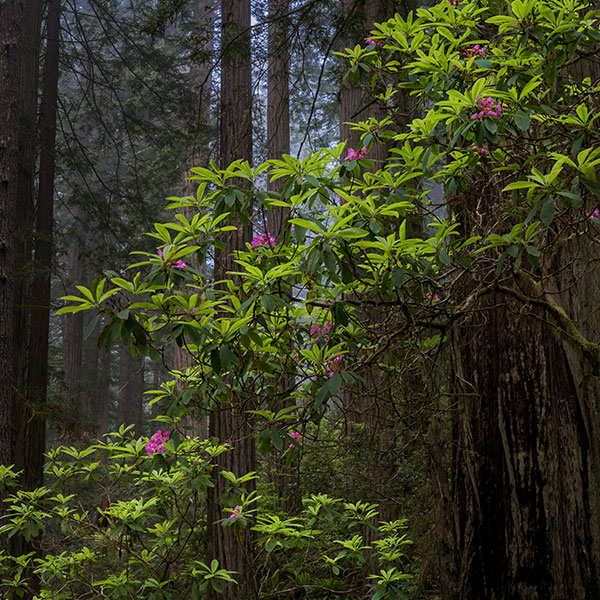  by Eric Reynolds - Landscape Photography