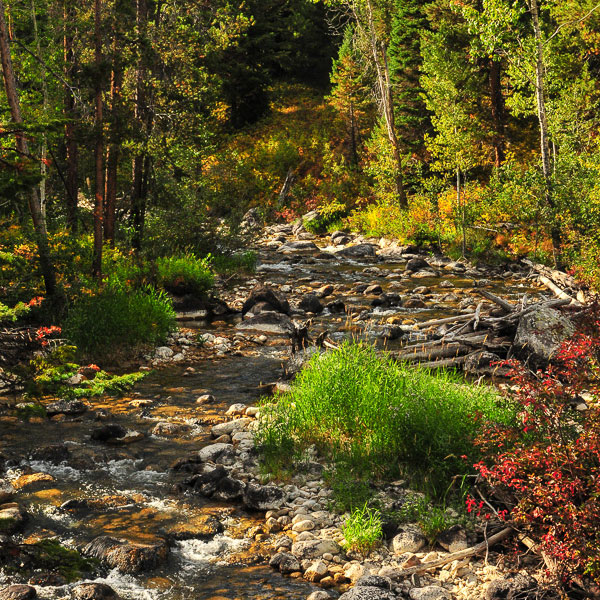  by Eric Reynolds - Landscape Photography