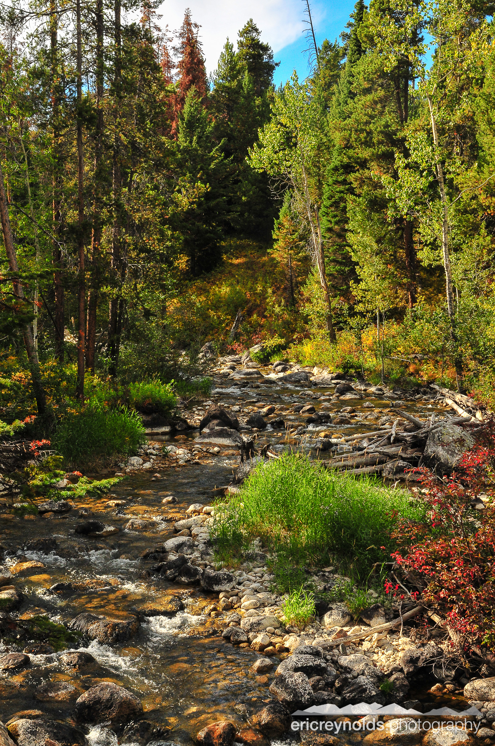 Teton Stream by Eric Reynolds - Landscape Photographer